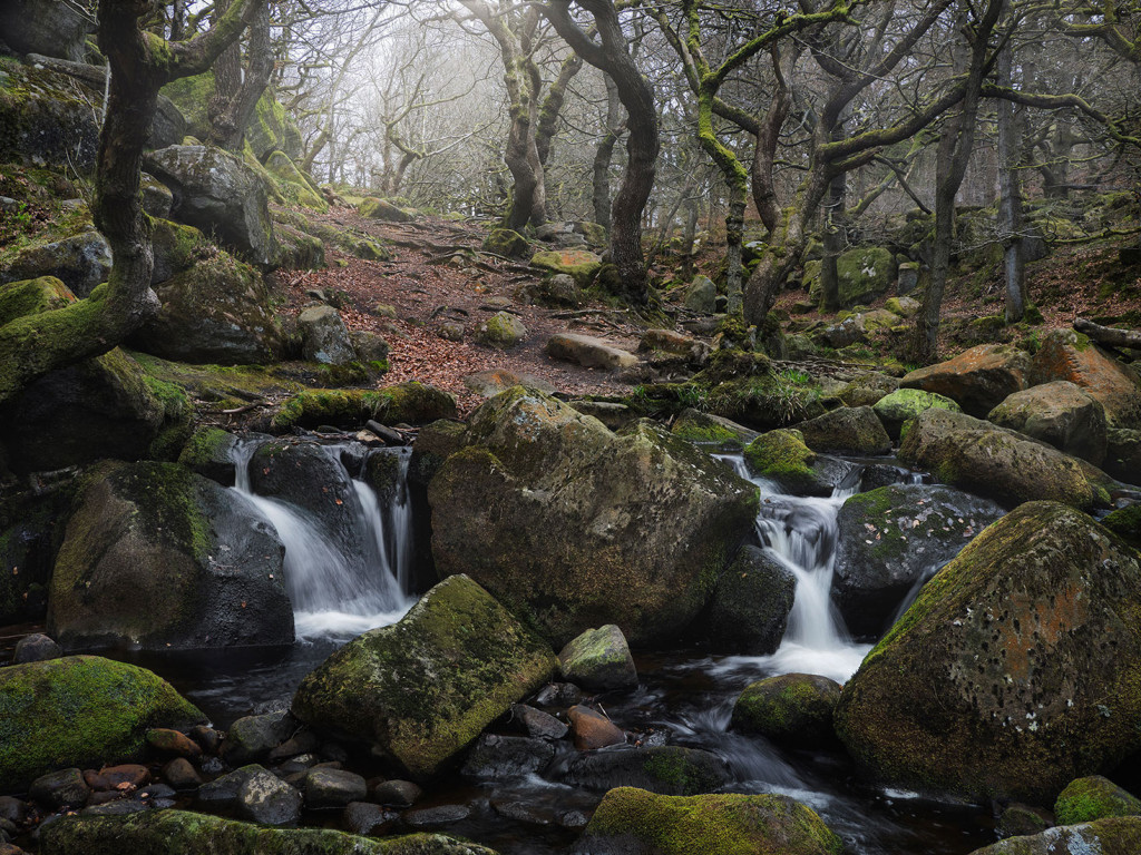 Misty Morning-Padley Gorge
