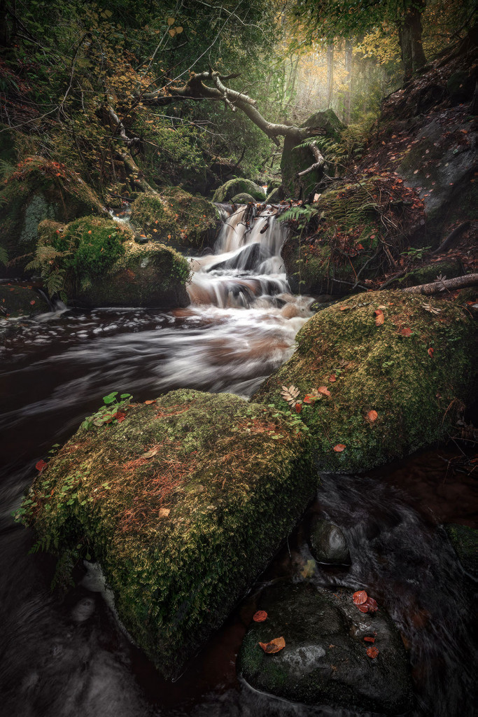 Down Below-Wyming Brook