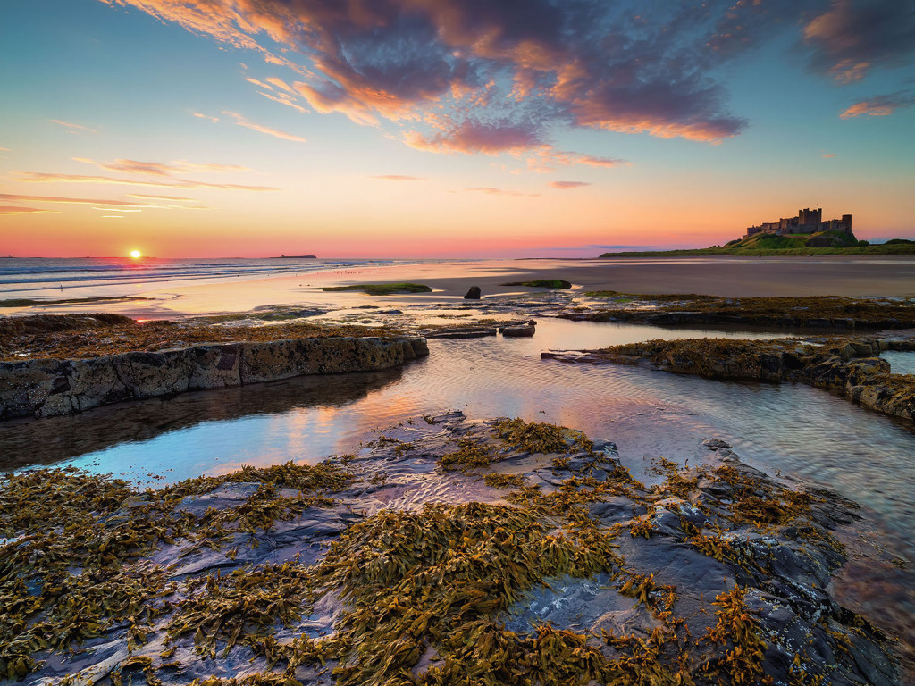 Pink Dawn-Bamburgh Castle