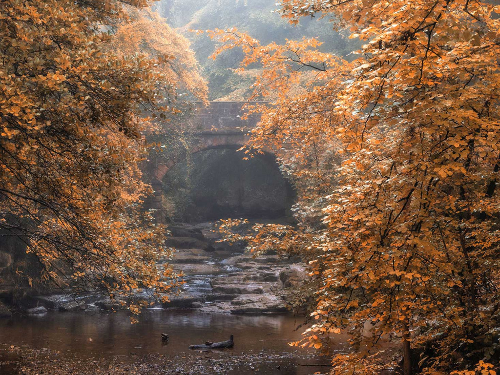 Sneaton Bridge Autumn-Yorkshire